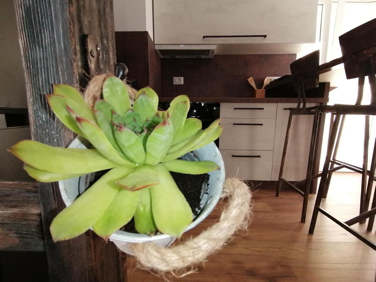 Apartmani Kiko Πόρετς Εξωτερικό φωτογραφία